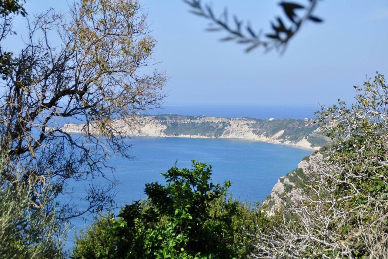 Villa Meli Afionas Corfu Exterior photo